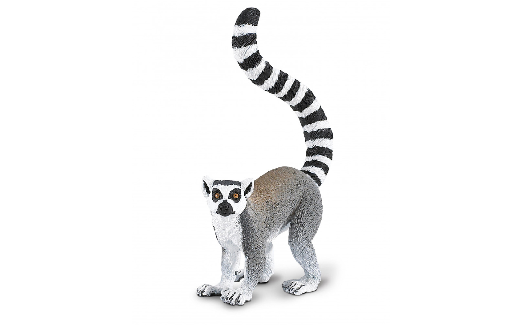 Ring-tailed lemur lies on the grass Stock Photo by Grey_Coast_Media