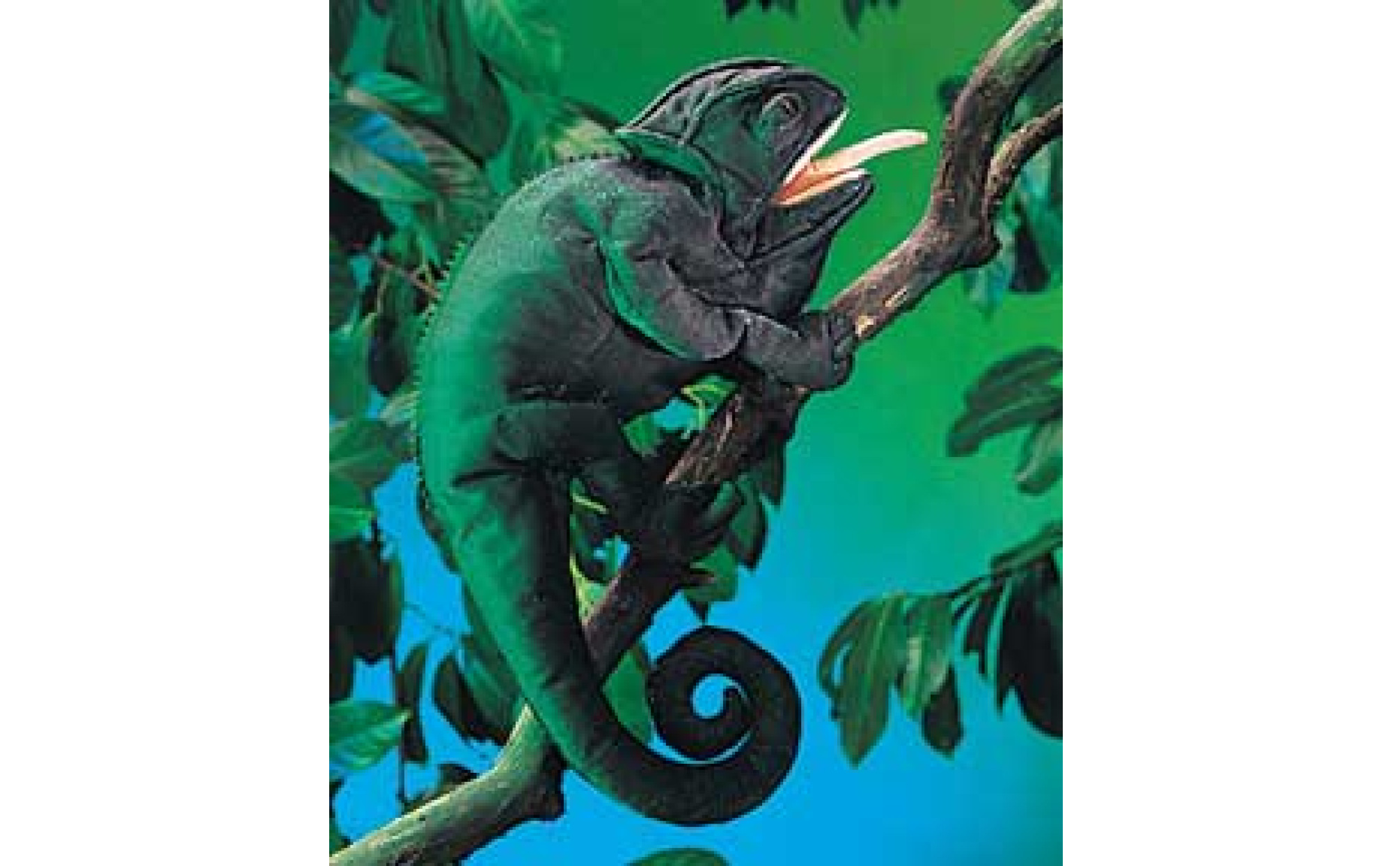 Chameleon hand sales puppet