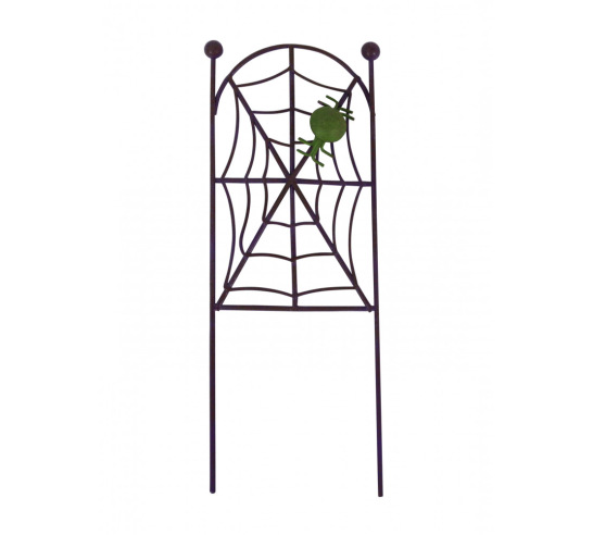 Hanging Spider Web