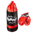 Punching Bag and Gloves