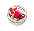 Scentsational Putty - Field of Flowers