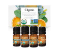 Organic Aromatherapy Essential Oils (set of 4)